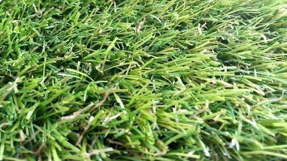 Искусственная трава Cypress Point (Высота ворса 30 мм) (Нет в наличии) изображение 5