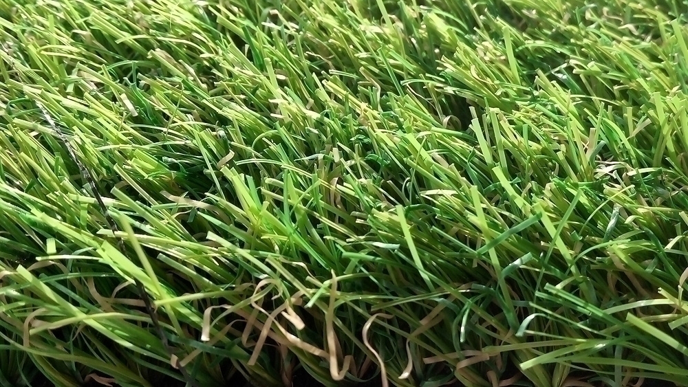Искусственная трава Cypress Point (Высота ворса 30 мм) изображение 7