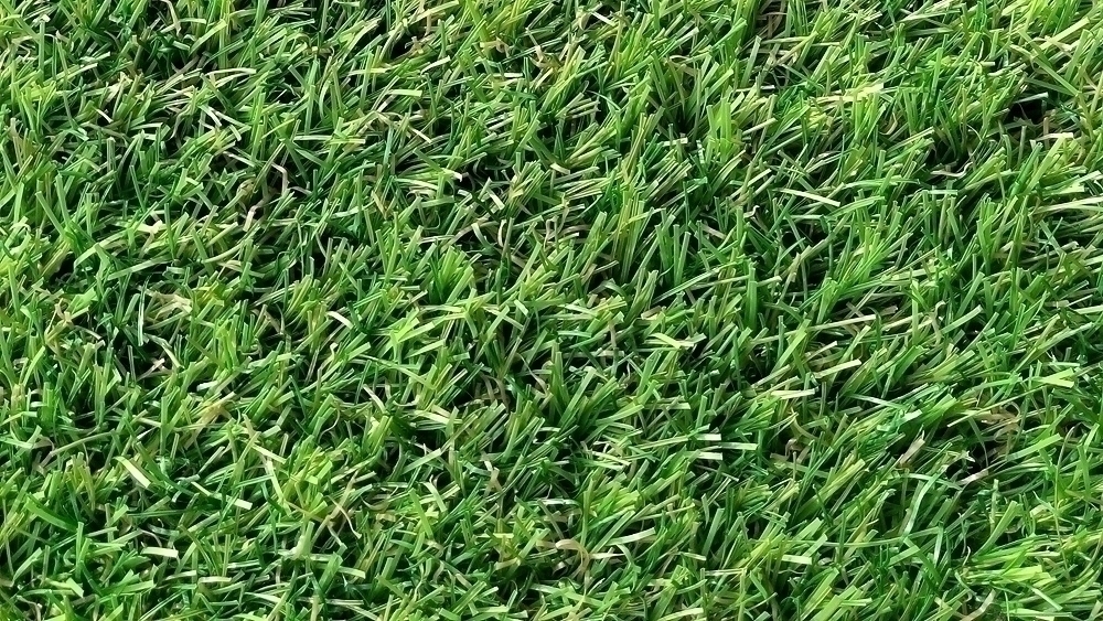 Искусственная трава Cypress Point (Высота ворса 30 мм) изображение 8